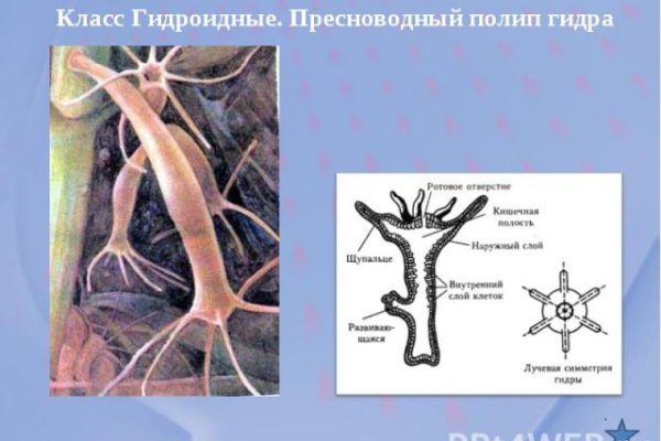Кракен порошок