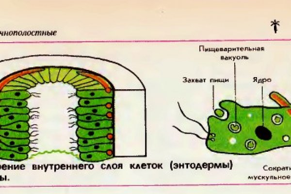 Какая комиссия кракен маркетплейс