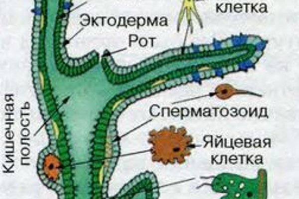 Кракен войти сегодня