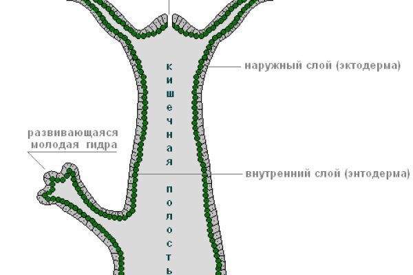 Кракен ты знаешь где покупать